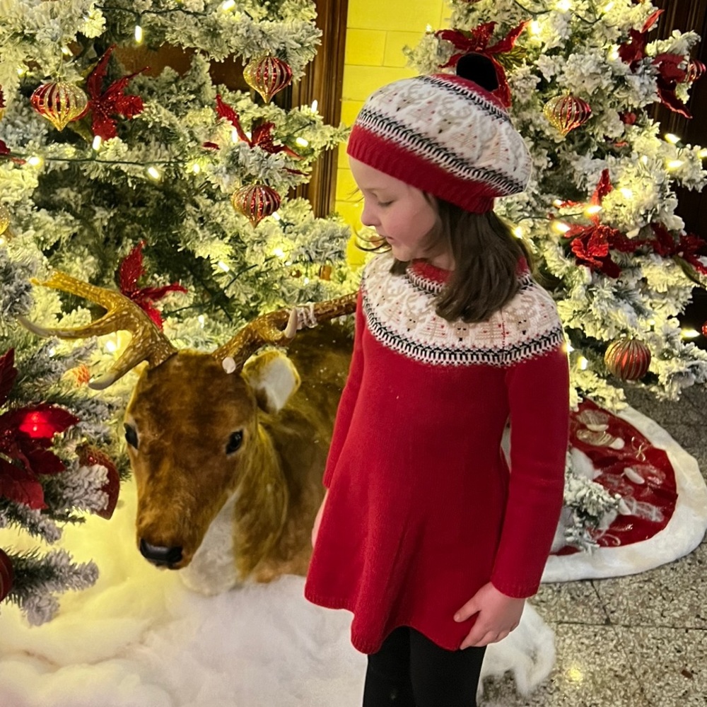 Euc reindeer sweater and beret set